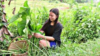 BOHOLANO'S SPECIAL LAING | Spicy Dried Taro Leaves | Life In The Philippine Countryside