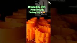 Bambulab X1C - Test Printing Truffle for training Dog #truffle #bambulab