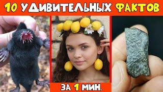 10 Крутых Фактов За Одну Минуту  | #shorts