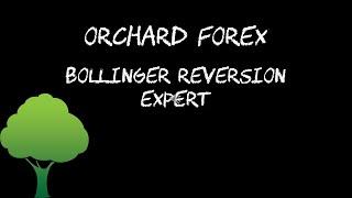 Bollinger Reversion expert for MT5