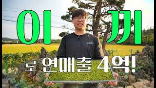 [역전의 부자농부 324회] 이끼로 연 매출 4억 원! 충북 청주 윤태근 부자농부