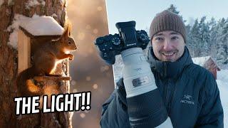 Fantastischer Wintertag für Naturfotografie mit Sony A1 II