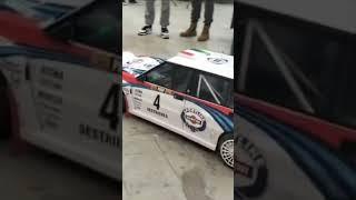 Fiat Martini racing  rally - Verona Model Expo.