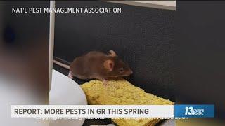 Report: More pests expected in Grand Rapids this year