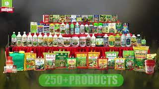 Multiplex Group Of Companies I PAN India I