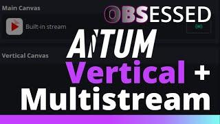 Aitum Vertical and Aitum Multistream for OBS Studio | Vertical and horizontal streams and video