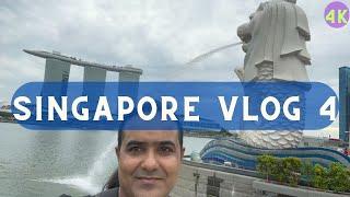 Singapore Travel Series Vlog No 4 | ManiKu Vlogs