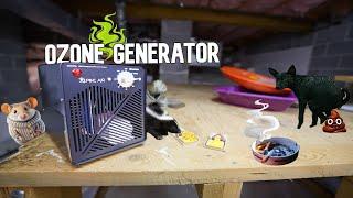 REVIEW: Alpine Ozone Generator to Remove Odors