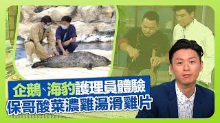 健康360 TVB｜大王深入主題樂園內部 體驗做企鵝、海豹護理員｜保哥黃亞保炮製酸菜濃雞湯滑雞片｜李文星煮三色上方寶飯｜流行都市 安德尊 宋芝齡 譚永浩 謝芷倫 焦浩軒