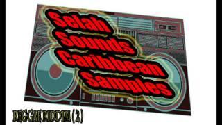 Selah Sounds/Caribbean Samples/Riddim-2013