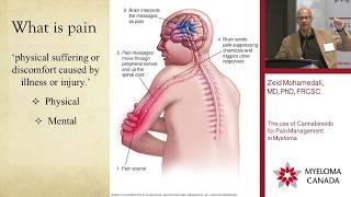 Marijuana for Pain & Neuropathy