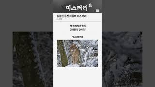 실종된 등산객들의 미스터리