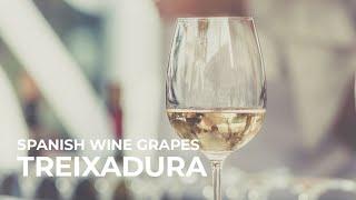 Spanish Wine Grapes: Treixadura