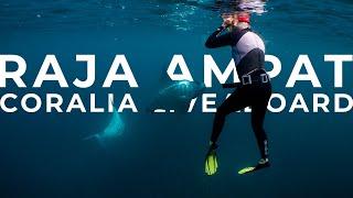 Raja Ampat with Coralia Liveaboard