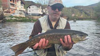 Flyfishing in river Ribnik and Pliva- 4.4-7.4.2024!