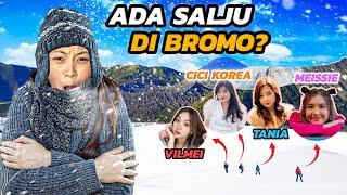 SALJU DI BROMO ?! VLOG BARENG MEISSIE VILMEI KLARA TANIA CICI KOREA !!