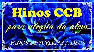 HINOS CCB LINDOS - 232-58-357-39-456-61-375-2-308-3-31-42-55-91-118-204-221-275-278-311-341-411-475