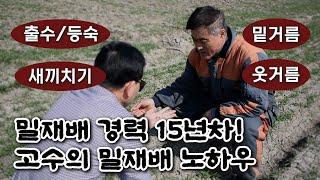 국산밀 재배 노하우┃꿀팁 대방출┃부안군우리밀 이재학 대표┃15년 밀 재배 노하우