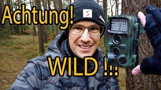 Wildkamera Fotofalle  Was muss ich beachten | meine Tipps!