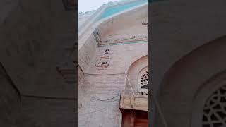 Shrine of Bahaudin Zakaria #multan#youtubeshorts #shortsviral #shorts