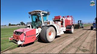 Harvesting Sod | McKellip Sod Farm | Nampa Idaho