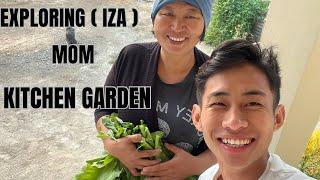 My Mom’s kitchen Garden || how many baby pigs  we will get from our pig 