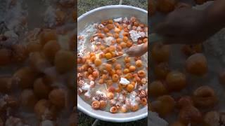 How Grandma Dries Apricots Under the Sun?  #apricots #how #driedfruits