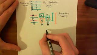 Next Generation Sequencing (NGS) Part 1