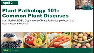 Plant Pathology 101: Common Plant Diseases - NDSU Extension Field to Fork