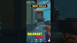 Why Gekko's Dizzy is the Best Pet in Valorant   #valorantshorts #valorant #shellyt