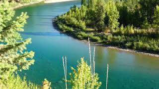 Between West Glacier & Columbia Falls In The Flathead National Forest This Morning