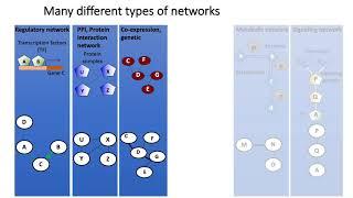 MCB 182 Lecture 11.1 - Introduction to molecular interaction networks