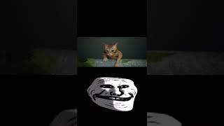 Stray sad moment (sad trollface) #trollface #memes #stray #sad #trollface #fyp