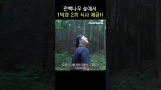 편백나무숲에서 2끼 식사까지 제공해 주는 편백나무숲 민박집 #shorts