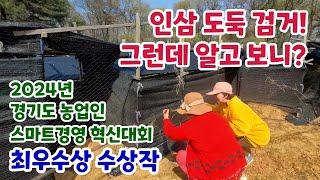 인삼 도둑 검거! 그런데 알고 봤더니? (feat. @nongbuTV @별난농사이야기 @seorang65)