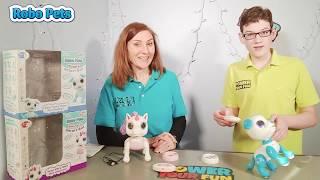 Robo Pets Demo of Unicorn and Puppy Smart Bots | Power Your Fun