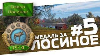 РУССКАЯ РЫБАЛКА 4 - Лосиное / Закрываю водоём / Стрим 5