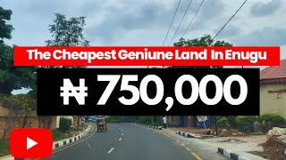 See the Land that Smart Investors are buying in Enugu Now | Golden Gate Estate | Cheap Land in Enugu