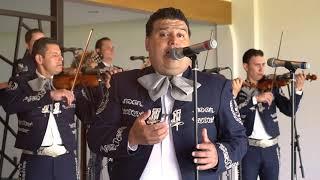 MARIACHI NUEVO TECALITLÁN / AMAR Y VIVIR