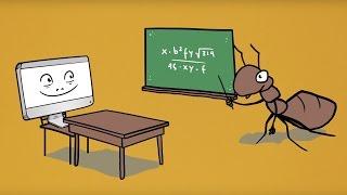 What is the Ant Colony Optimization Algorithm?