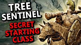 This Tree Sentinel Build is UNSTOPPABLE - Elden Ring Secret Starting Class