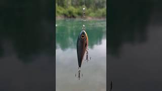 Strike Pro Fishing Lure  #fishing #lurefishing #lure #lures #crazy #amazing #fishingvideo #shorts