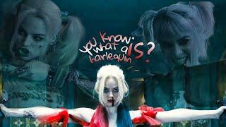 Harley Quinn | You Know What a Harlequin Is?