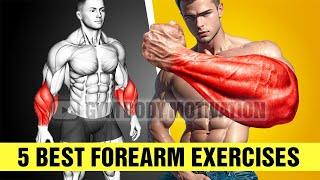 5 Best Exercises for Bigger Forearms