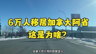 6万人移居加拿大阿尔伯塔省，这是为啥？