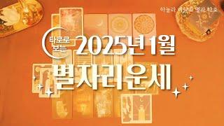 타로 |  2025년 1월 별자리운세