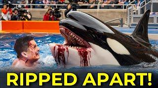 This BRUTAL Orca Attack On Trainer Alexis Martinez Left The World STUNNED