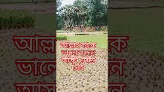 #Short Video #Islamic Video #Interest #Inspiration #Encouragement #Interesting# Syed Mukarram#