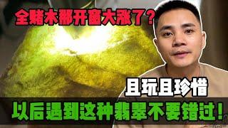 全賭木那實戰開窗大漲了？以後遇到這種翡翠不要錯過！且玩且珍惜#jade #玉 #赌石 #原石 #缅甸翡翠 #珠寶