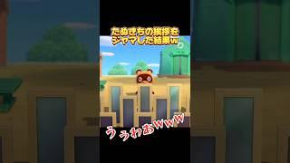 【あつ森】たぬきちすまんwww【あつまれどうぶつの森】